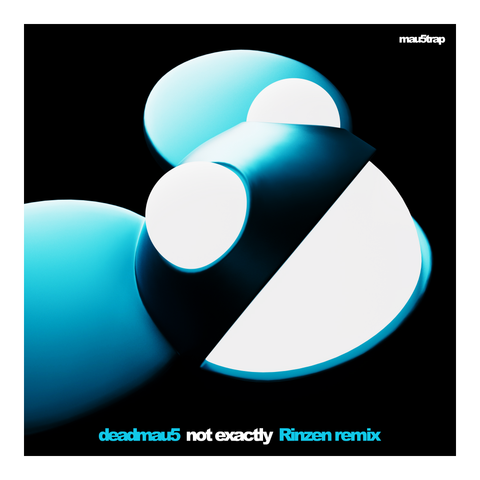 Not Exactly (Rinzen Remix)