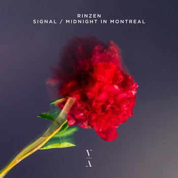 Signal / Midnight In Montreal